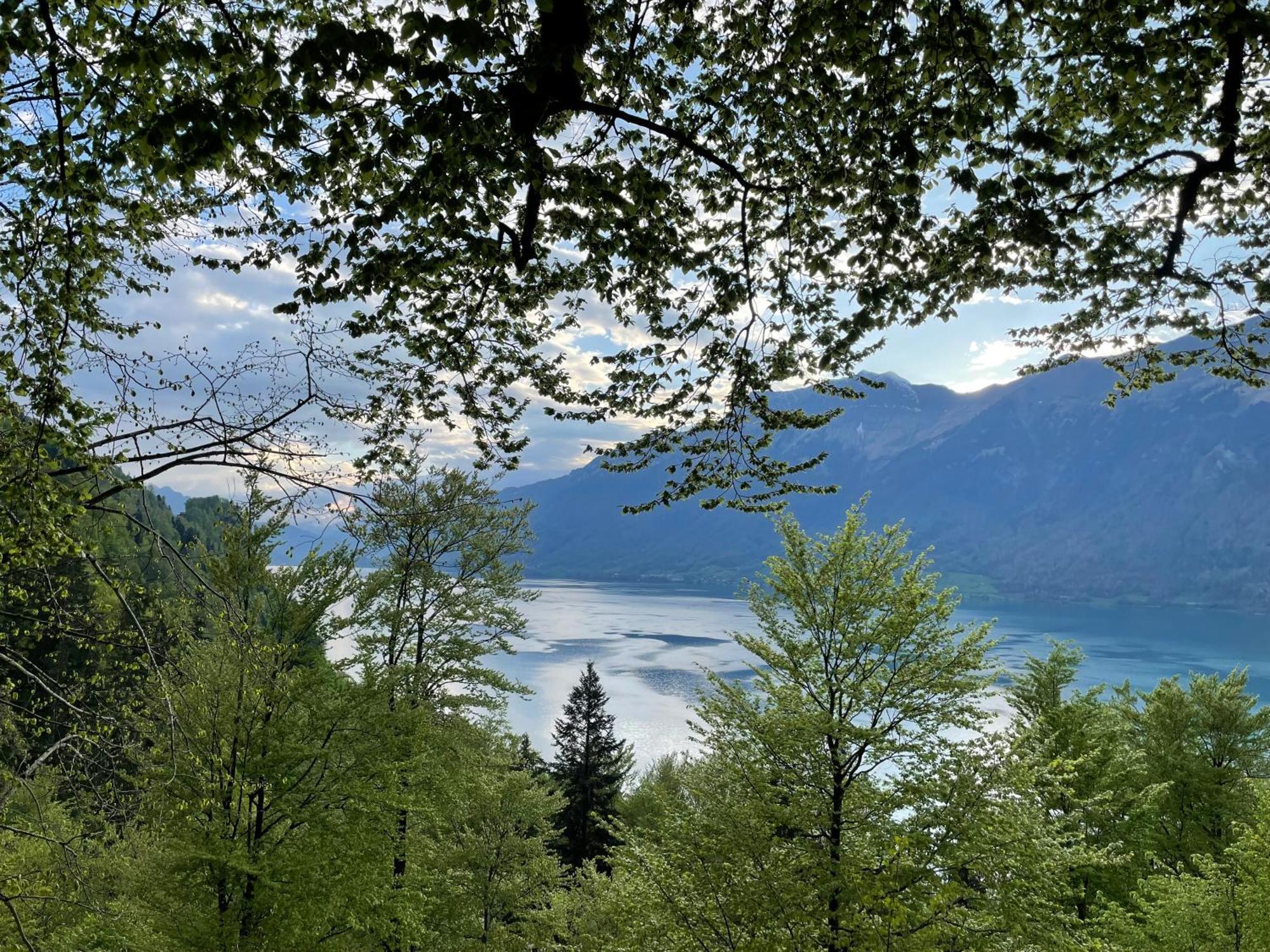 Romantic Lake & Mountain Apartment Pure Swissness Brienz  Zewnętrze zdjęcie